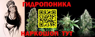 ешки Дубна