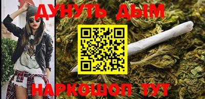 стаф Донской